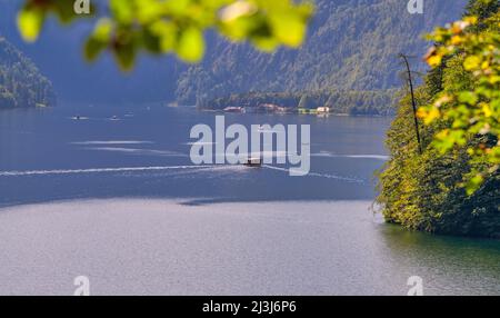 Königsee bei Schönau, Kreis Berchtesgaden, Oberbayern, Deutschland, Europa Stockfoto