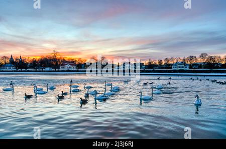 Schloss Nymphenburg mit Park, München, Bayern, Deutschland, Europa Stockfoto