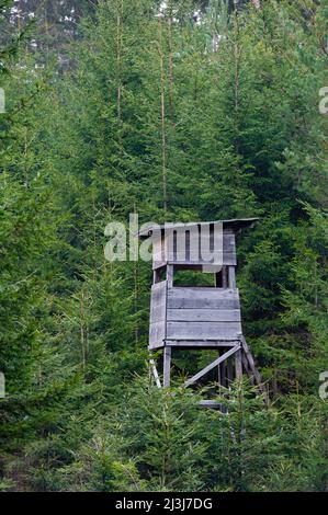 Hochsitz in Fichtenwald, Spessart, Januar, Hessen, Deutschland, Europa Stockfoto