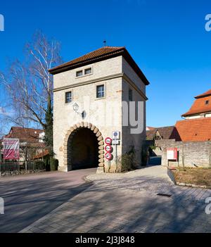 Historisches Dorfzentrum des Weindorfes Sommerach an der Vokacher Mainschleife, Bezirk Kitzingen, Unterfranken, Franken, Bayern, Deutschland Stockfoto