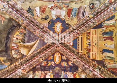 Deckenfresken, Kapelle Basilika Santa Maria Novella, Florenz, Toskana, Italien Stockfoto