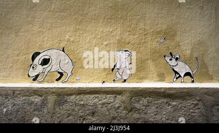 Graffiti in der Altstadt von Montpellier. ' Wenn die Katze aus dem Haus ist, tanzen die Mäuse auf dem Tisch '. Stockfoto