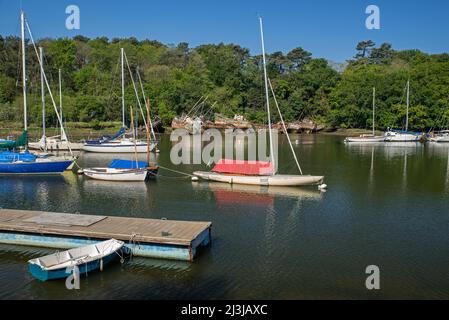 Douarnenez, Segelboote und Schiffswracks im historischen Hafen von Port-Rhu, Frankreich, Bretagne, Departement Finistère. Stockfoto