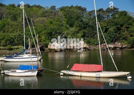 Douarnenez, Segelboote und Schiffswracks im historischen Hafen von Port-Rhu, Frankreich, Bretagne, Departement Finistère. Stockfoto