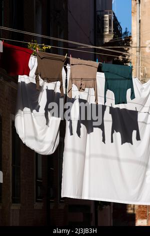 An den Wäscheleinen zwischen den Hausfassaden in Castello, Italien, Venetien, Venedig hängt Wäsche Stockfoto