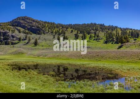 Teich im Lamar Valley im Yellowstone National Park, USA Stockfoto