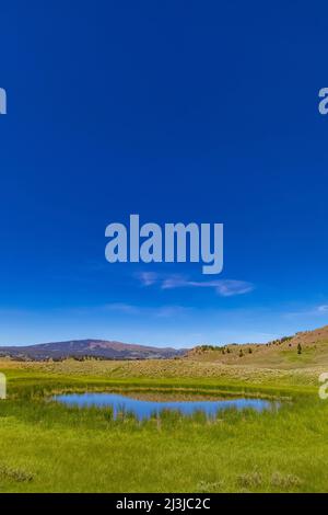 Teich im Lamar Valley im Yellowstone National Park, USA Stockfoto