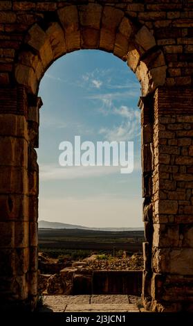 Volubilis, archäologische Stätte, Antike, Maghreb, Marokko, Afrika Stockfoto