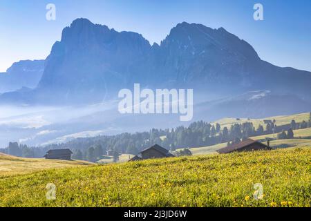 Italien, Südtirol, Kastelruth, Seiser Alm - Holzhütten, im Hintergrund Langkofelgruppe, Dolomiten Stockfoto