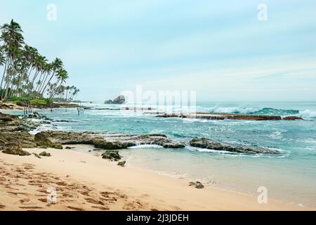 Korallenriffe im Meer Stockfoto