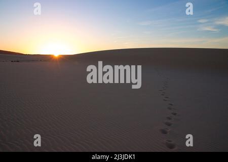 Spanien, Kanarische Inseln, Fuerteventura, Dünengebiet El Jable, Sonnenuntergang, Sonne untergeht hinter einer Düne, Fußabdrücke im Sand, Himmel hellblau bis orange, Schleierwolken Stockfoto