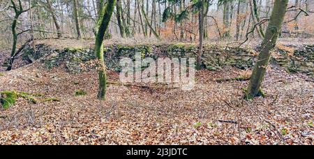 Verlassene bewachsene Natursteingrube im Altmühltal, Mittelfranken Stockfoto
