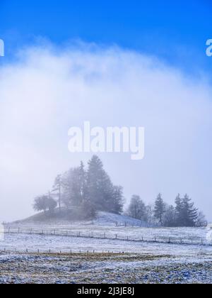 Wintermorgen im Fünfseenland, Gemeinde Pähl, Stockfoto