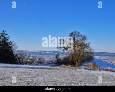 Wintermorgen im Fünfseenland, Gemeinde Pähl, Stockfoto