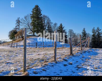 Wintermorgen im Fünfseenland, Gemeinde Pähl, Stockfoto