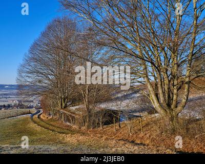 Wintermorgen im Fünfseenland, Gemeinde Pähl, Stockfoto