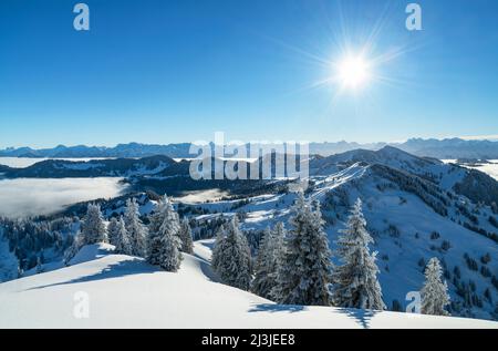 Strahlender sonniger Wintertag in den Alpen, verschneite Berglandschaft unter blauem Himmel, Blick vom Siplingerkopf bei Balderschwang auf Riedbergerhorn und Allgäuer Hauptkamm, Bayern, Deutschland, Europa Stockfoto