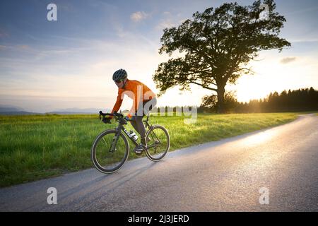 Junger Mann auf Rennrad im Abendlicht, Voralpen, Bayern, Deutschland Stockfoto