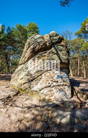 Deutschland, Rheinland-Pfalz, Teufelsfelsfelsen bei Bad Dürkheim, Kultplatz für religiöse Rituale bereits für die Kelten, Fels, Monolith Stockfoto