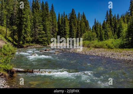 Schnell fließender Soda Butte Creek in den Absaroka Mountains im nordöstlichen Yellowstone National Park, USA Stockfoto