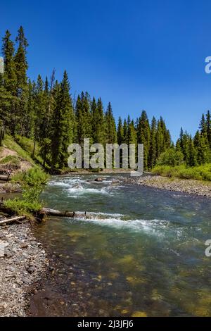 Schnell fließender Soda Butte Creek in den Absaroka Mountains im nordöstlichen Yellowstone National Park, USA Stockfoto