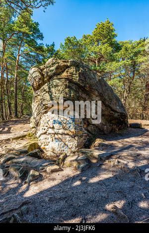 Deutschland, Rheinland-Pfalz, Teufelsfelsfelsen bei Bad Dürkheim, Kultplatz für religiöse Rituale bereits für die Kelten, Fels, Monolith Stockfoto