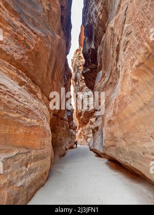 In der Schlucht, die zum berühmten alten Schatzhaus von Petra führt, in Jordanien, im Nahen Osten, Asien, eine der aufregendsten touristischen Attraktionen überhaupt. Stockfoto