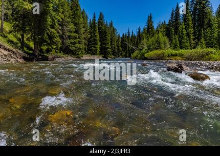 Schnell fließender Soda Butte Creek in den Absaroka Mountains im nordöstlichen Yellowstone National Park, USA Stockfoto