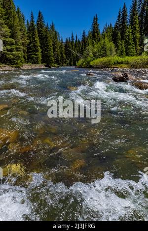 Schnell fließender Soda Butte Creek in den Absaroka Mountains im nordöstlichen Yellowstone National Park, USA Stockfoto