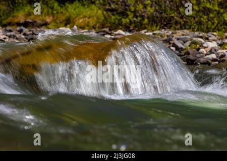 Schnell fließender Soda Butte Creek in den Absaroka Mountains im nordöstlichen Yellowstone National Park, USA Stockfoto