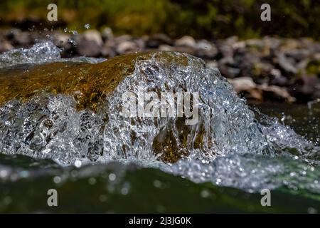 Schnell fließender Soda Butte Creek in den Absaroka Mountains im nordöstlichen Yellowstone National Park, USA Stockfoto