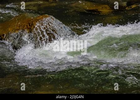 Schnell fließender Soda Butte Creek in den Absaroka Mountains im nordöstlichen Yellowstone National Park, USA Stockfoto