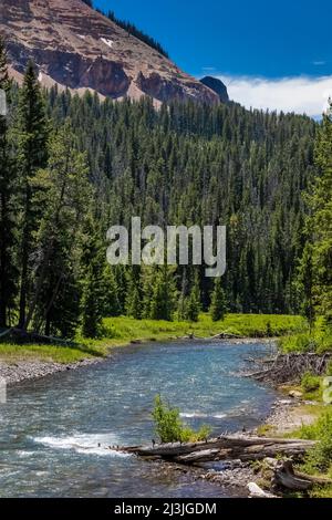 Schnell fließender Soda Butte Creek in den Absaroka Mountains im nordöstlichen Yellowstone National Park, USA Stockfoto