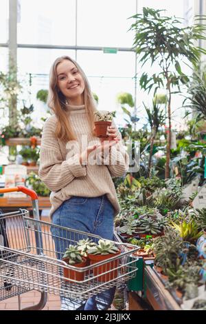 Die Frau hält einen Topf Sukkkulente in ihren Händen, wächst Pflanzen zum Verkauf, Pflanze als Geschenk, Blumen in einem Gewächshaus, Topfpflanze. Stockfoto