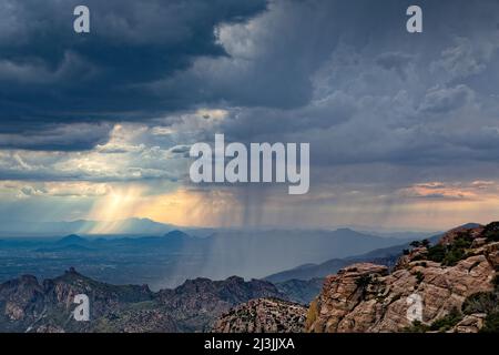 Arizona Monsunon im Juli und August, Catalina Mountains Stockfoto