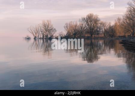 Perfekt symmetrische Bäume Reflexionen auf einem See Stockfoto
