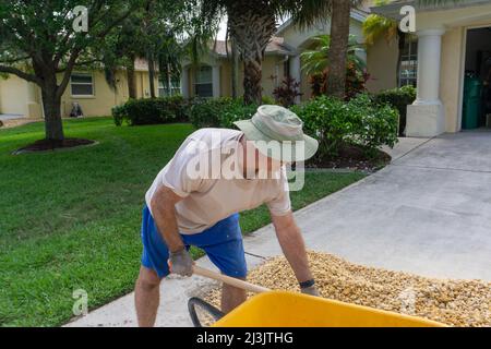 Der alte Mann beugt sich, um in Florida Steine aufzuschaufeln Stockfoto