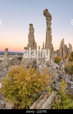 Die südlichen Tufas am Mono Lake in Mono County, CA, USA, wurden zuerst ...