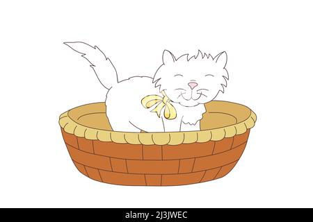 Niedliches Kätzchen, das in einem Korb steht Stockfoto