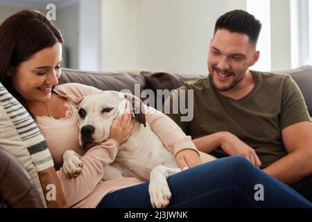 Hes unser Pelzbaby. Eine Aufnahme eines Hundes, der mit seinen menschlichen Eltern zu Hause sitzt. Stockfoto