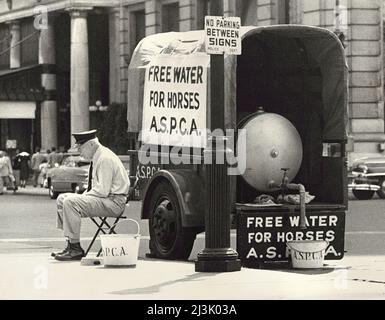 Mann, der auf einem Stuhl in der Nähe von Wagon sitzt und einen Wasserbehälter im Rücken hat, um Pferde mit freiem Wasser durch die American Society for the Prevention of Cruelty to Animals zu versorgen, steht auf dem Anhänger „Free Water for Horses, A.S.P.C.A.“, New York City, New York, USA, Angelo Rizzuto, Anthony Angel Collection, Juli 1952 Stockfoto