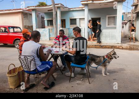 Ein Hund steht auf der Straße von Havanna, Kuba, und die Menschen interagieren, während vier Männer Dominosteine an einem Tisch in Havanna, Kuba, spielen Stockfoto