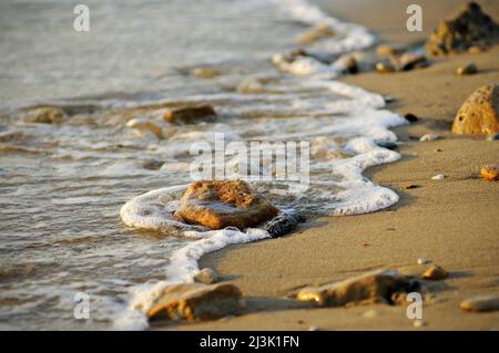 Sand, Steine und Schaum am Strand, Six-Fours-les-Plages, Var, Provence-Alpes-Côte d'Azur, Frankreich Stockfoto
