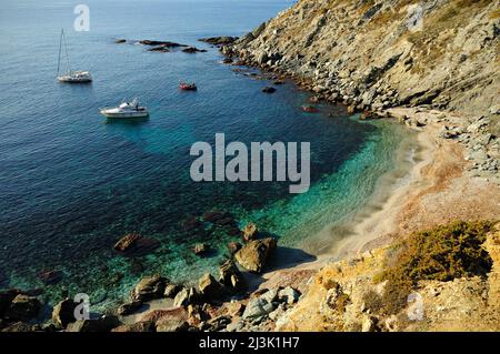 Küste, Insel Embiez, Var, Frankreich Stockfoto