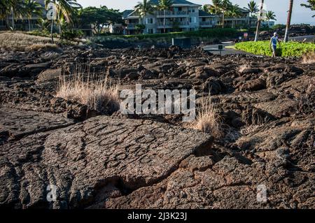 Die Waikoloa Petroglyphen Felder auf der Westseite der Kona-Küste von Hawaii Big Island. Das ist Teil des Puako Petroglyph Archäological Dist... Stockfoto