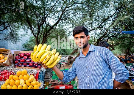 Junger Mann, der ein Bananenbündel in einem Obstwagen hält, der frische Produkte verkauft; Großraum Noida, Uttar Pradesh, Indien Stockfoto
