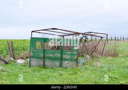 Ruine Hütte für landwirtschaftliche Rinder oder Schafe auf landwirtschaftlichen Flächen Stockfoto