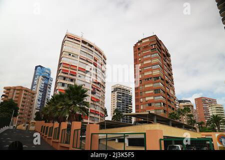 Spanische Stadt mit breiten Straßen. Gruppe von Gebäuden mit Palmen. Hochwertige Fotos Stockfoto