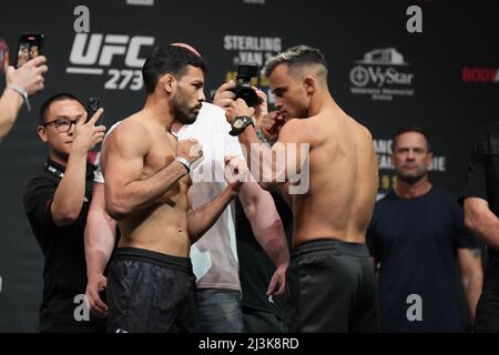 Jacksonville, Florida, JACKSONVILLE, FL, USA. 8. April 2022. JACKSONVILLE, FL - 8. April: Julio Arce (L) und Daniel Santos (R) treten für die Fans in der Vystar Memorial Arena für UFC 273 - Volkanovski gegen den Koreaner - Feierliche Einwaagen am 8. April 2022 in Jacksonville, Florida, USA, gegeneinander an. (Bild: © Louis Grasse/PX Imagens via ZUMA Press Wire) Bild: ZUMA Press, Inc./Alamy Live News Stockfoto