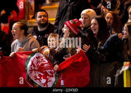 Llanelli, Großbritannien. 08. April 2022. Walisische Fans feiern das erste Tor von Sophie ingle. Wales gegen Frankreich in einer FIFA-Weltmeisterschaft der Frauen in Parc y Scarlets am 8.. April 2022 Quelle: Lewis Mitchell/Alamy Live News Stockfoto